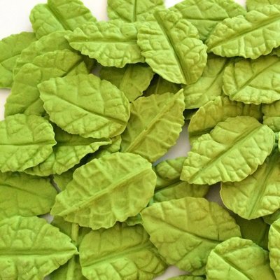 Veined Green Leaves