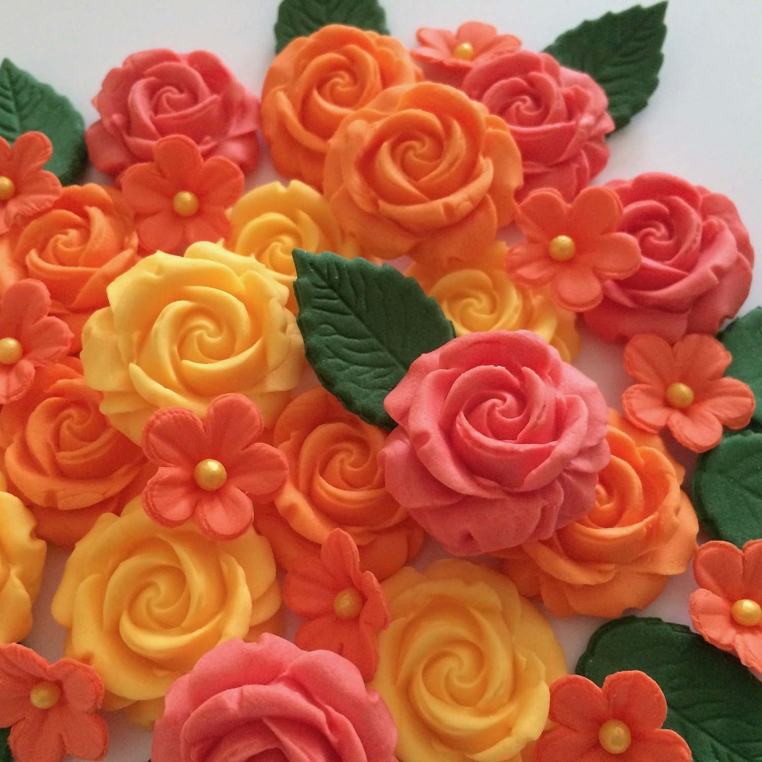 Orange Coral Apricot Roses