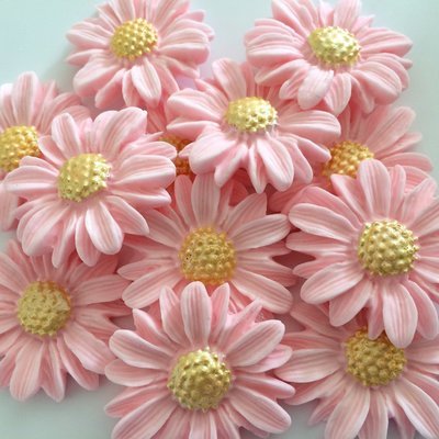 Pink Blush Daisies