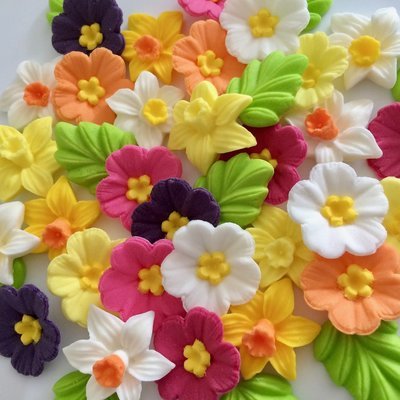 Daffodils Primroses