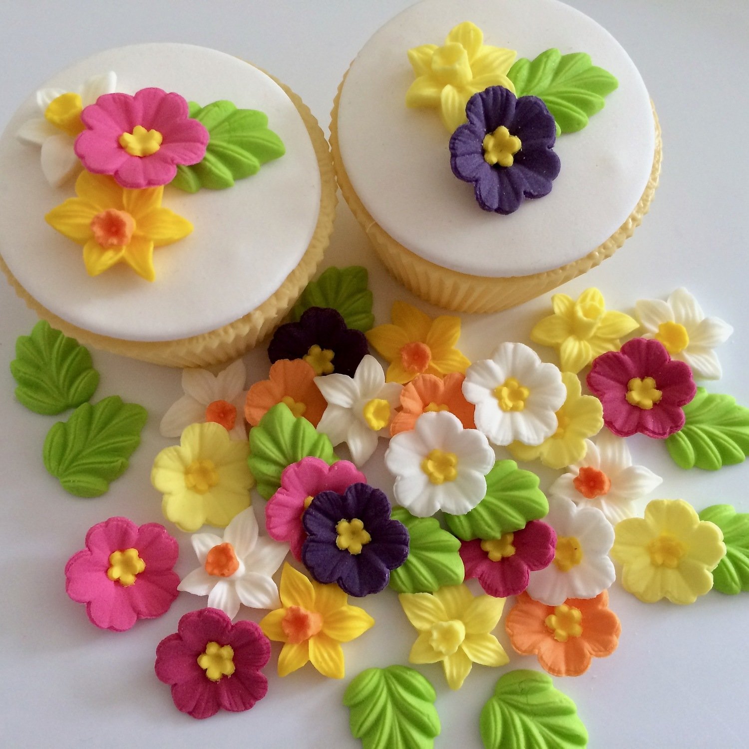 Edible Primroses Daffodils