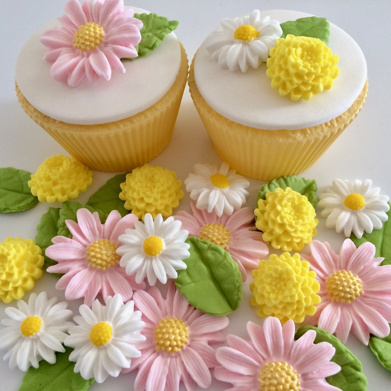Sugar Daisies