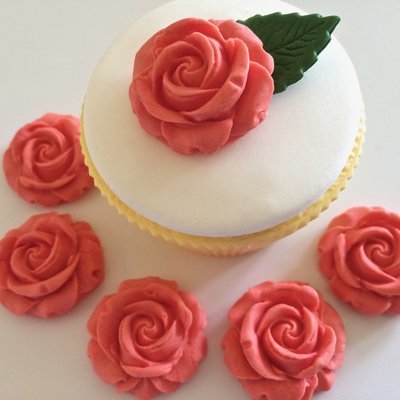 Coral Roses
