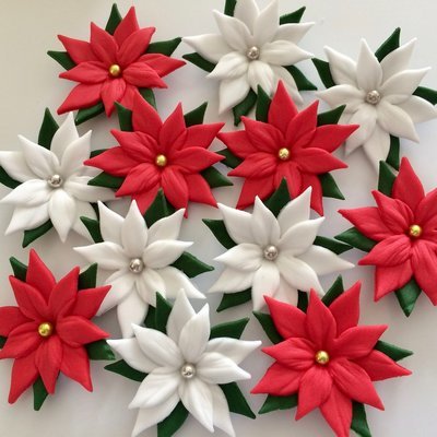 Poinsettia