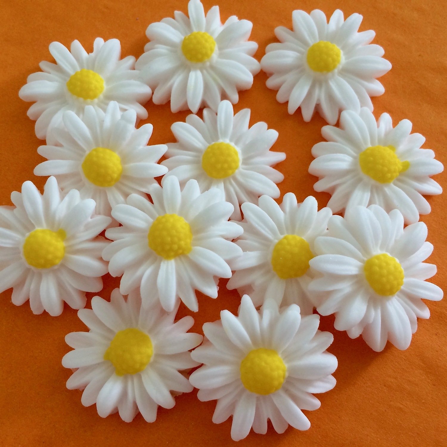 White Daisies