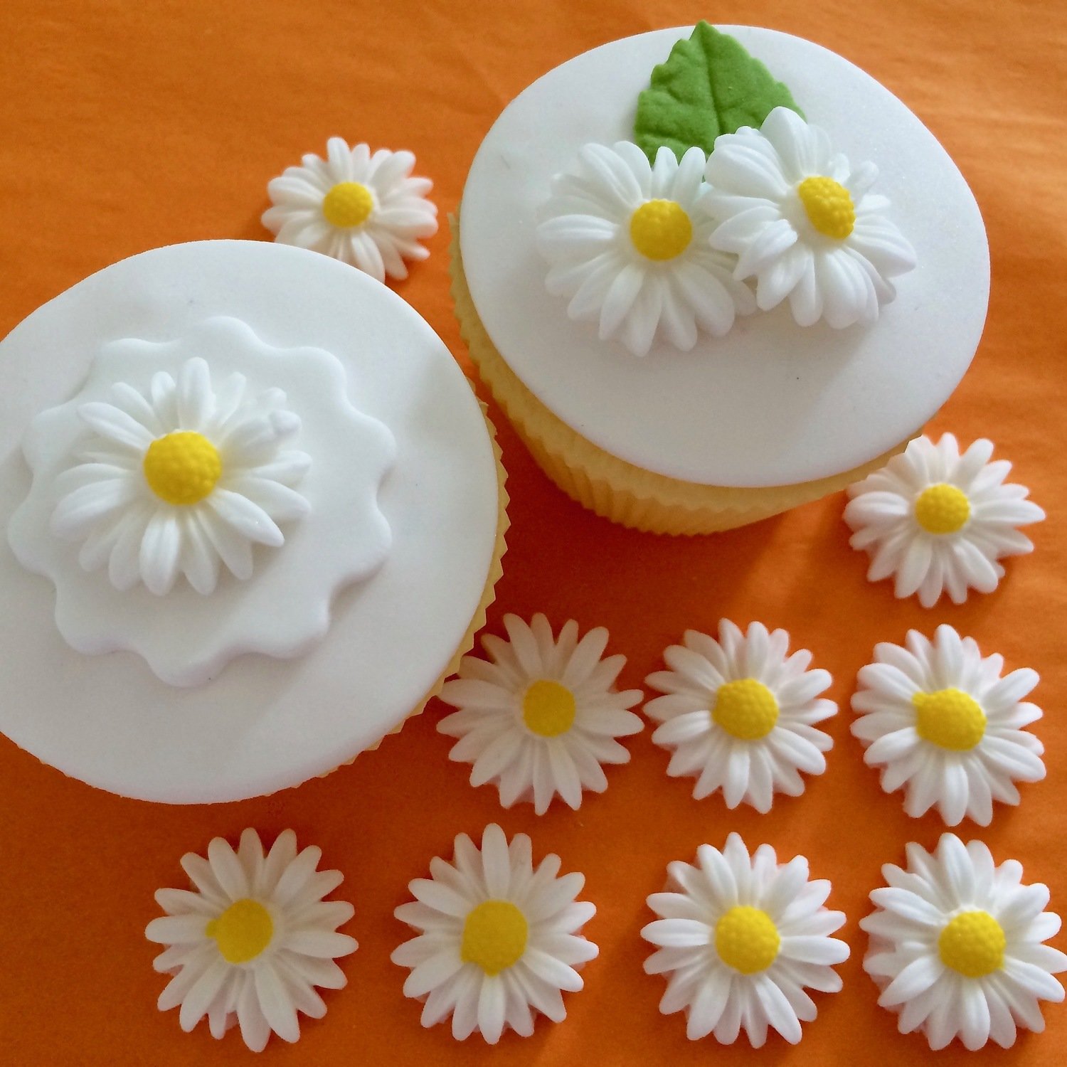 White Sugar Daisies