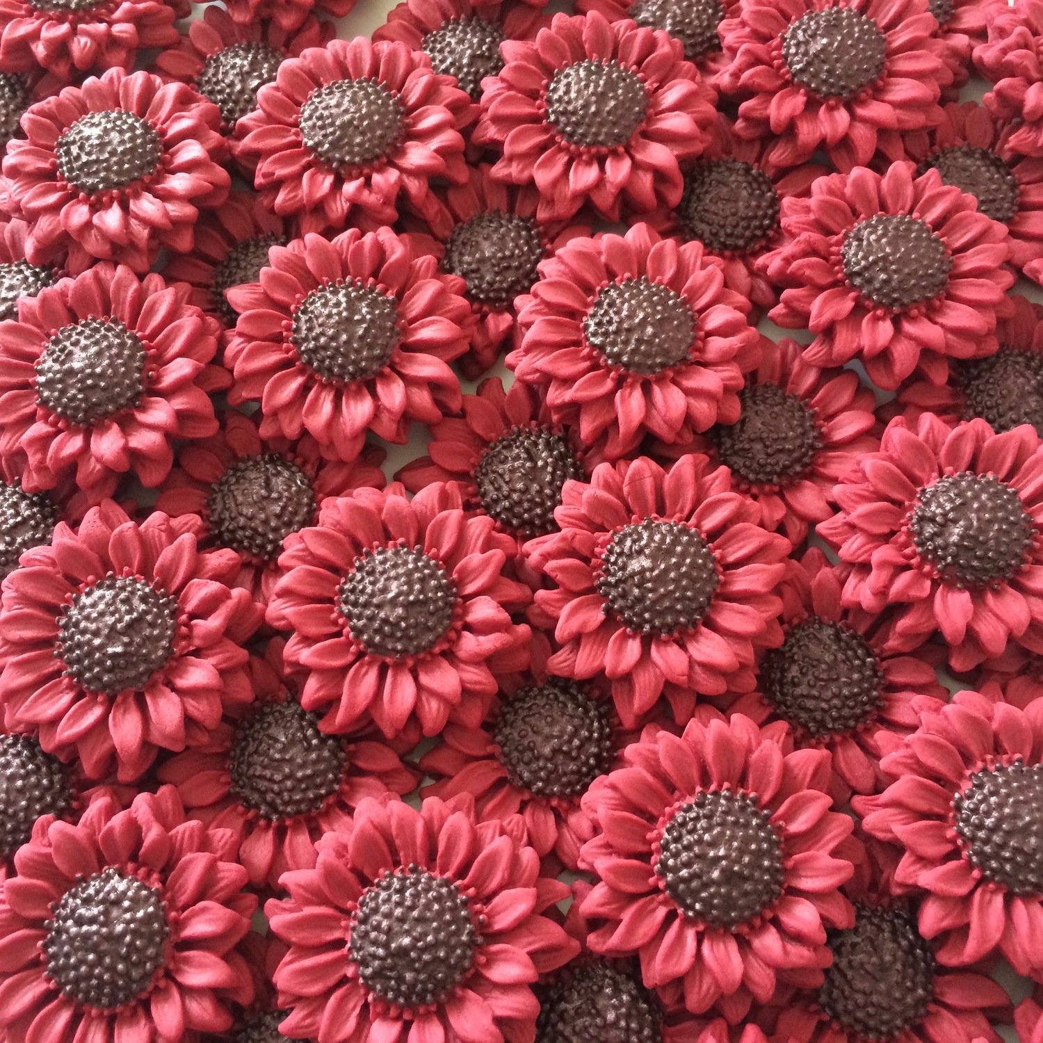 Burgundy Sunflowers