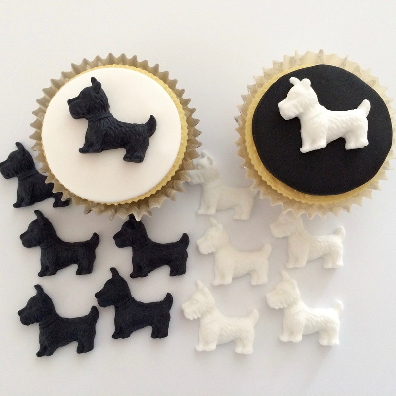 Westie Dogs