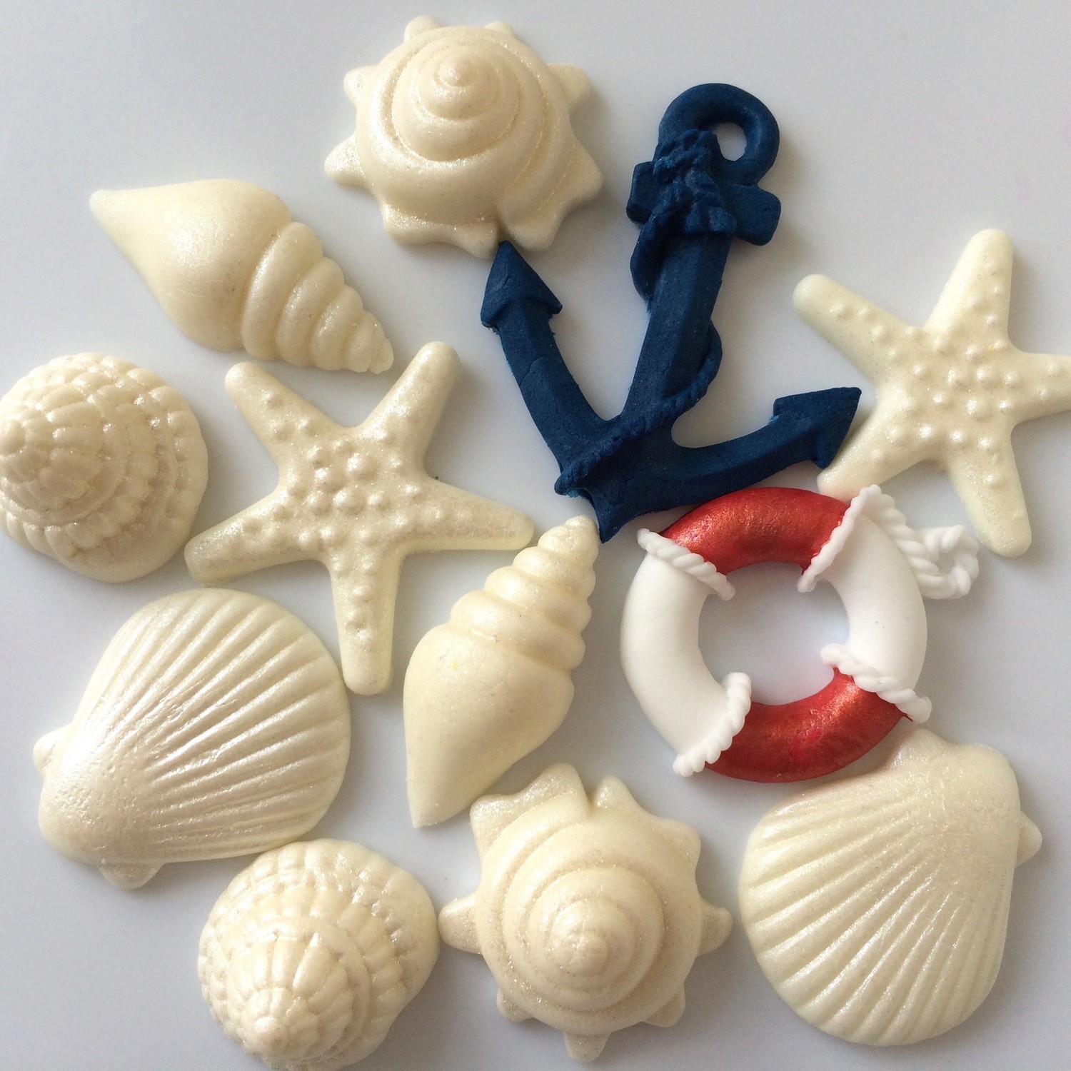 Nautical Seashells