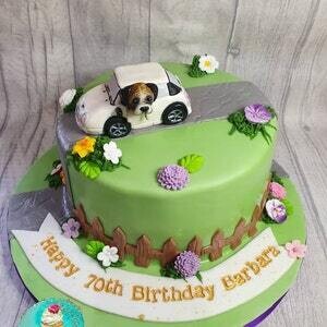 Lilac Pink White Chrysanthemums