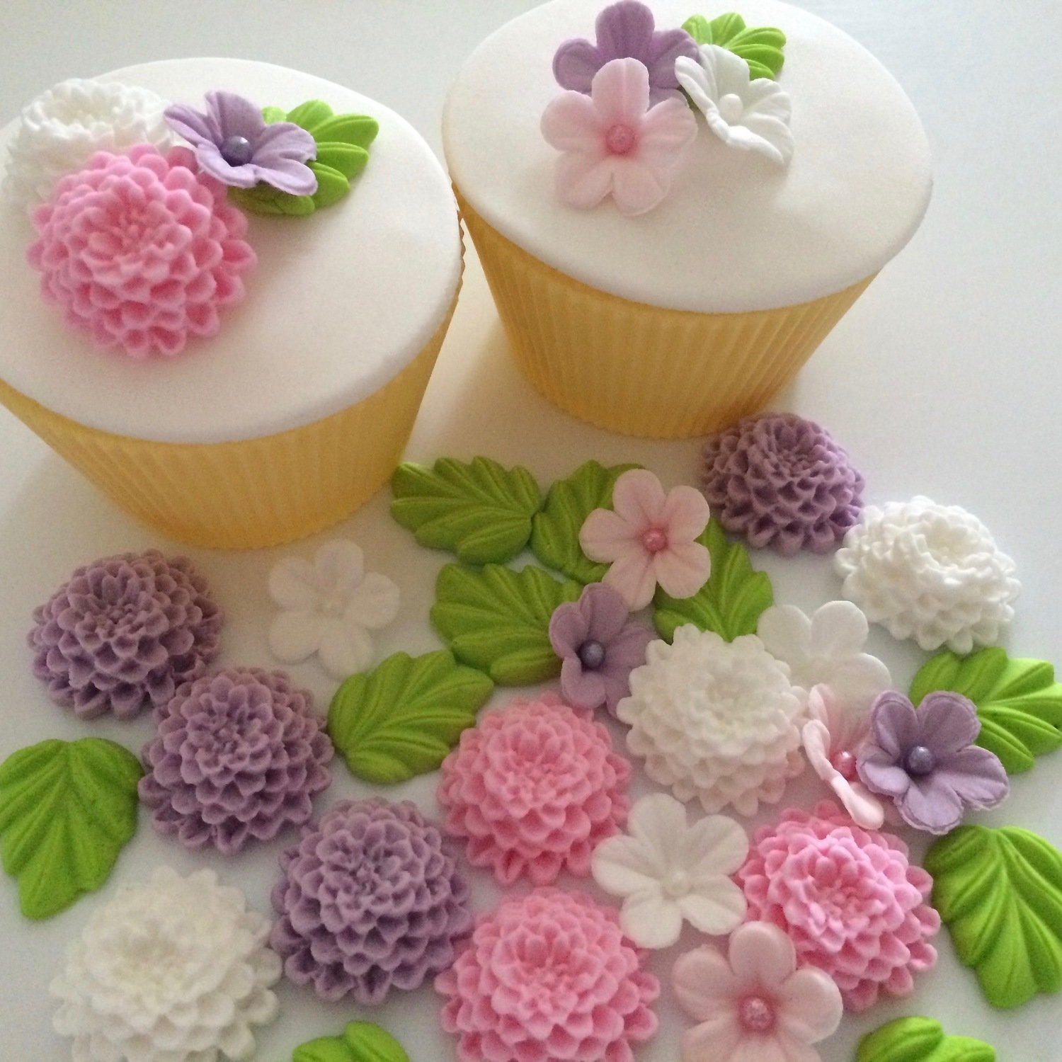 Lilac Pink &amp; White Chrysanthemums