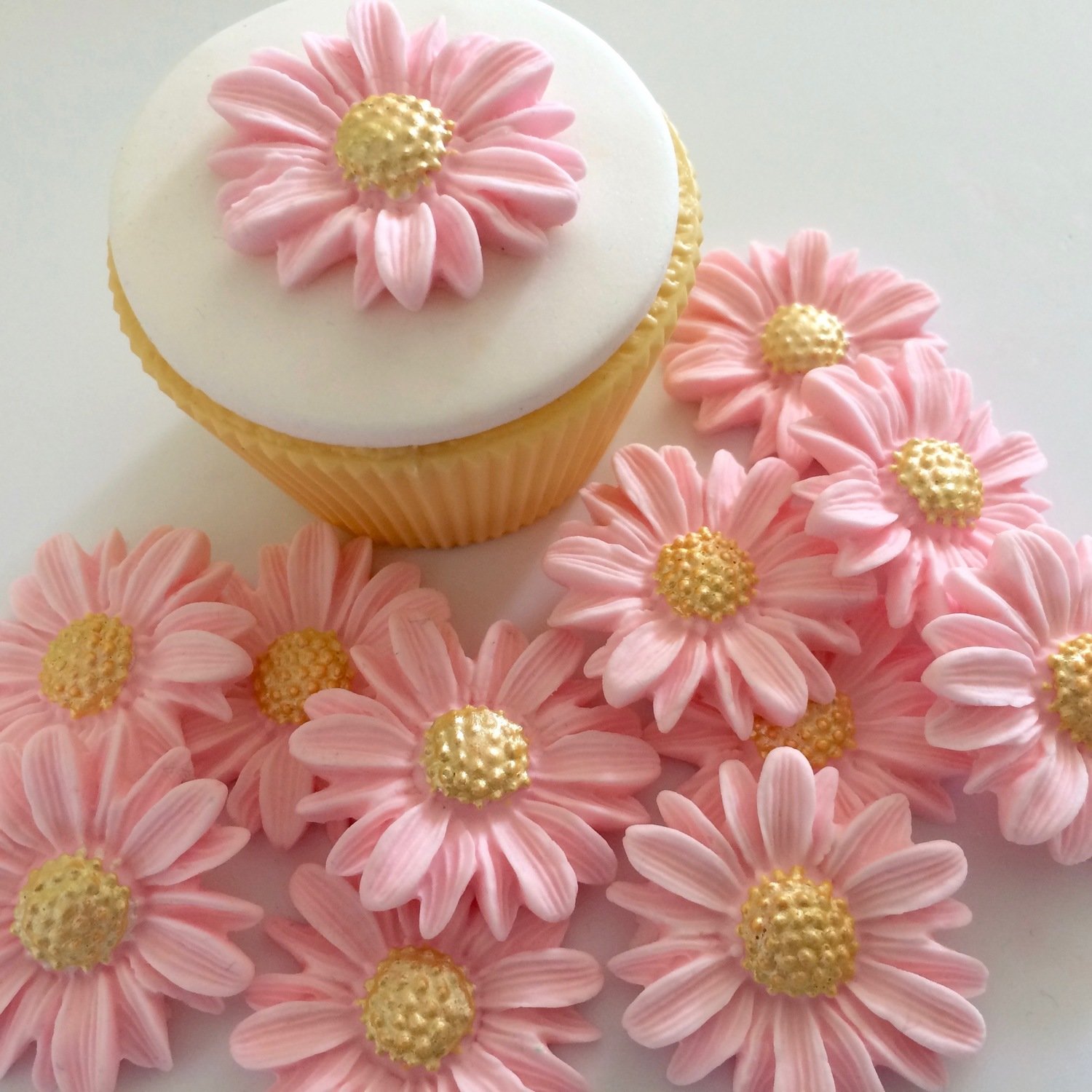 Pink Blush Sugar Daisies