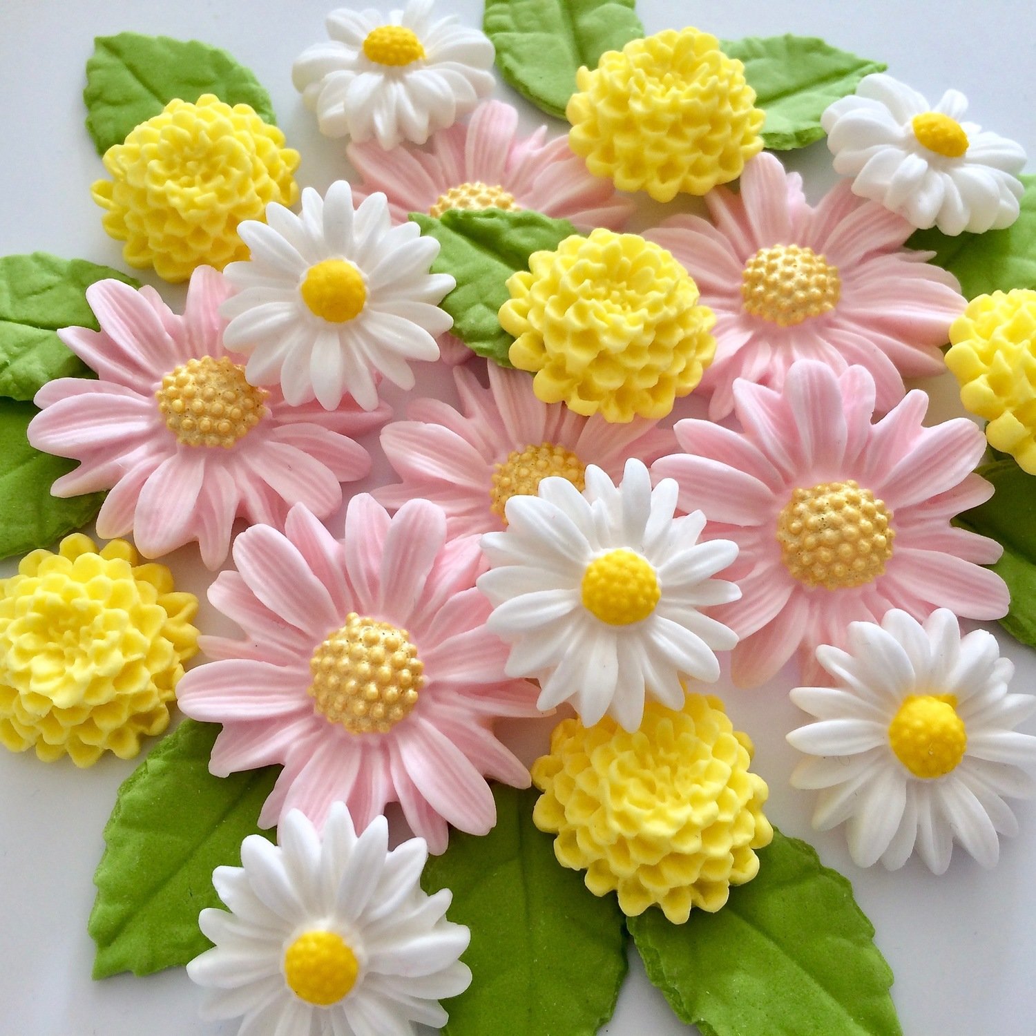 Pink Lemon Daisies