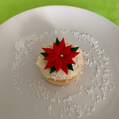 Poinsettia