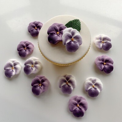 Purple Viola Pansies