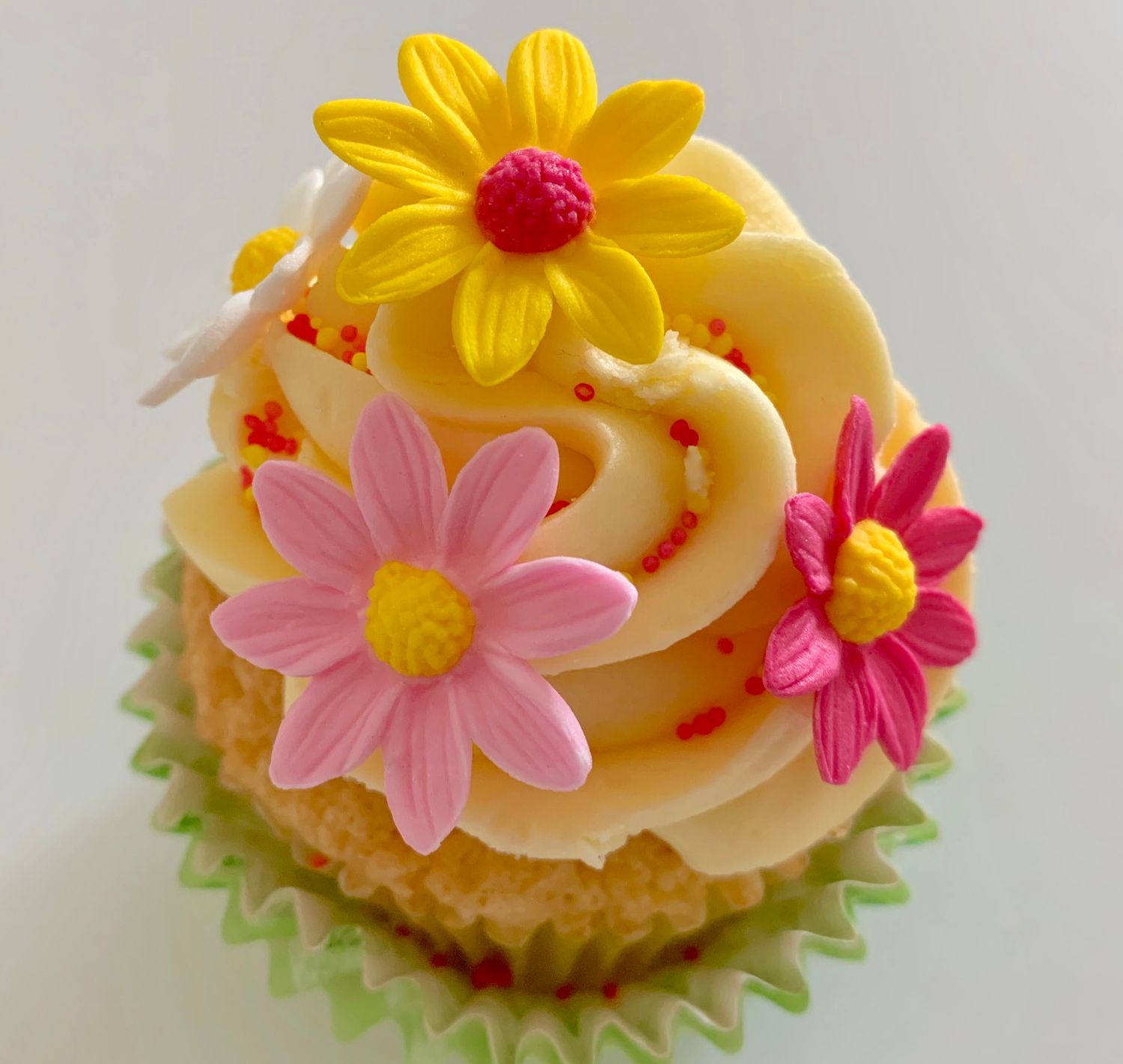 Yellow Marguerite Daisies