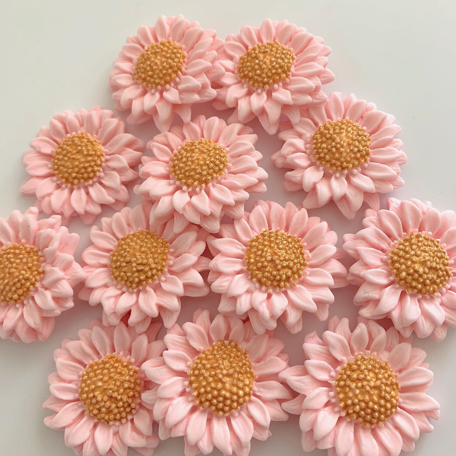 Golden Pink Sunflowers
