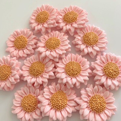 Golden Pink Sunflowers
