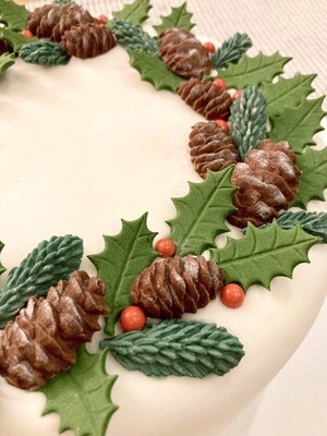 Pine Tree Tips