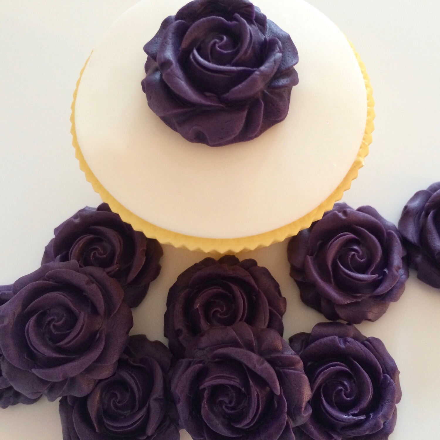 Cassis Roses