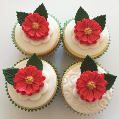 Daisy Flowers