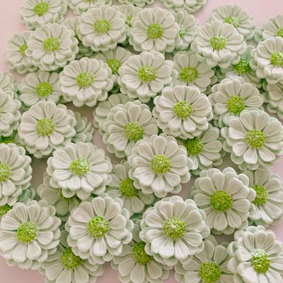 Daisy Flowers