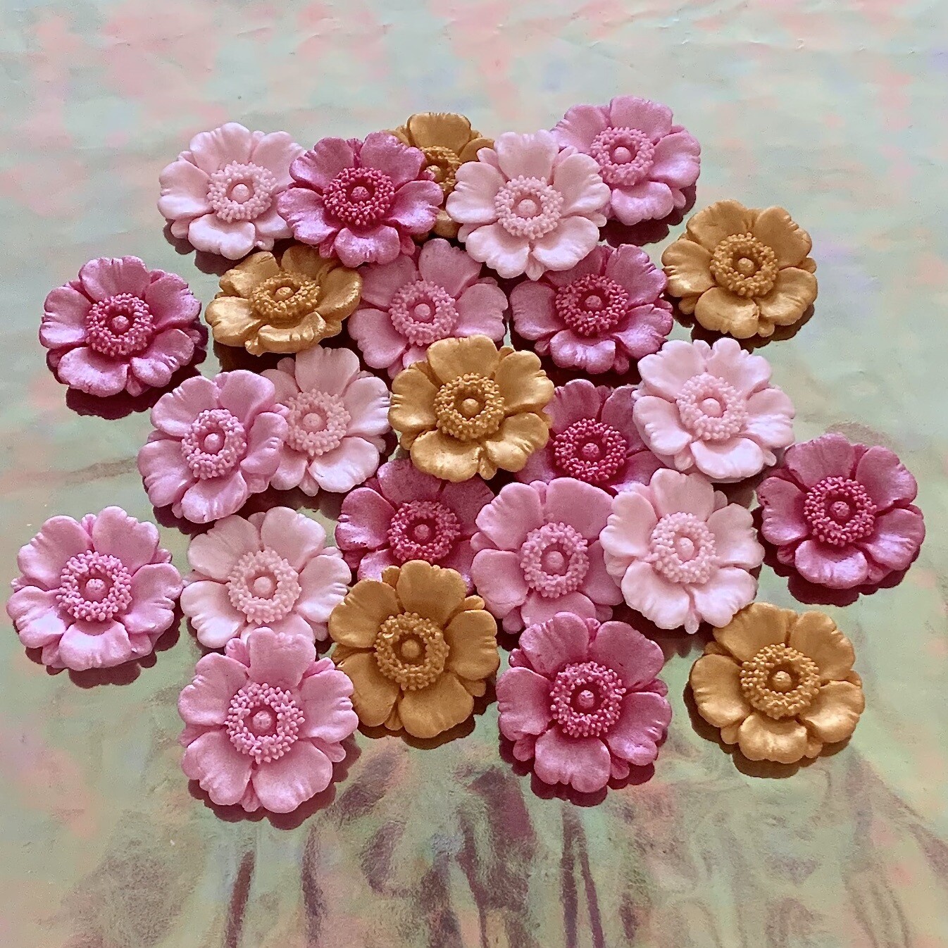 Pink Anemones