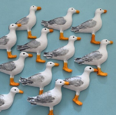 Seagull