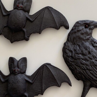 Bats Crows &amp; Spiders