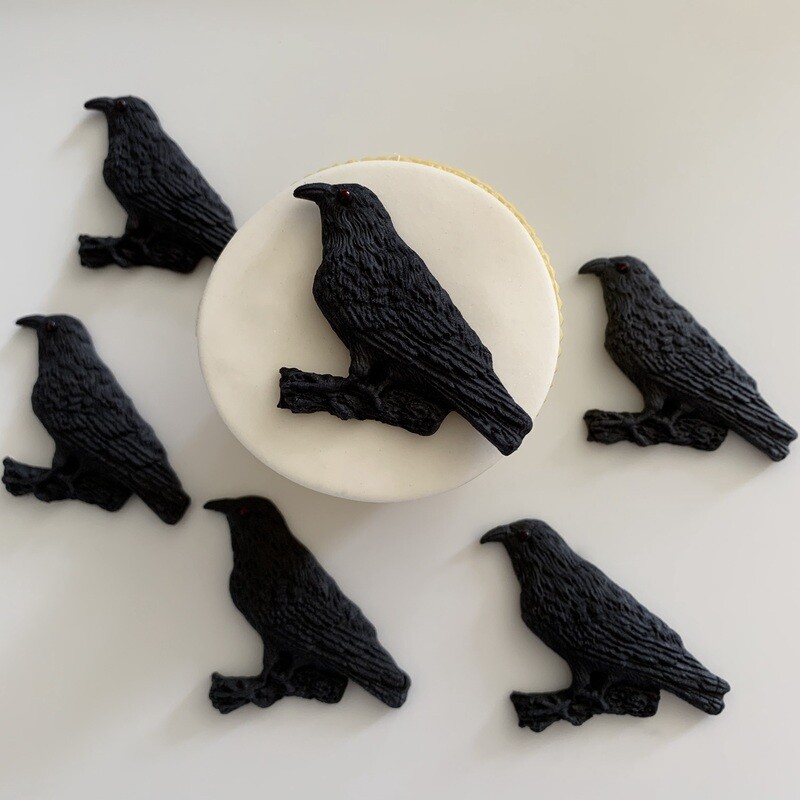 Crow Birds