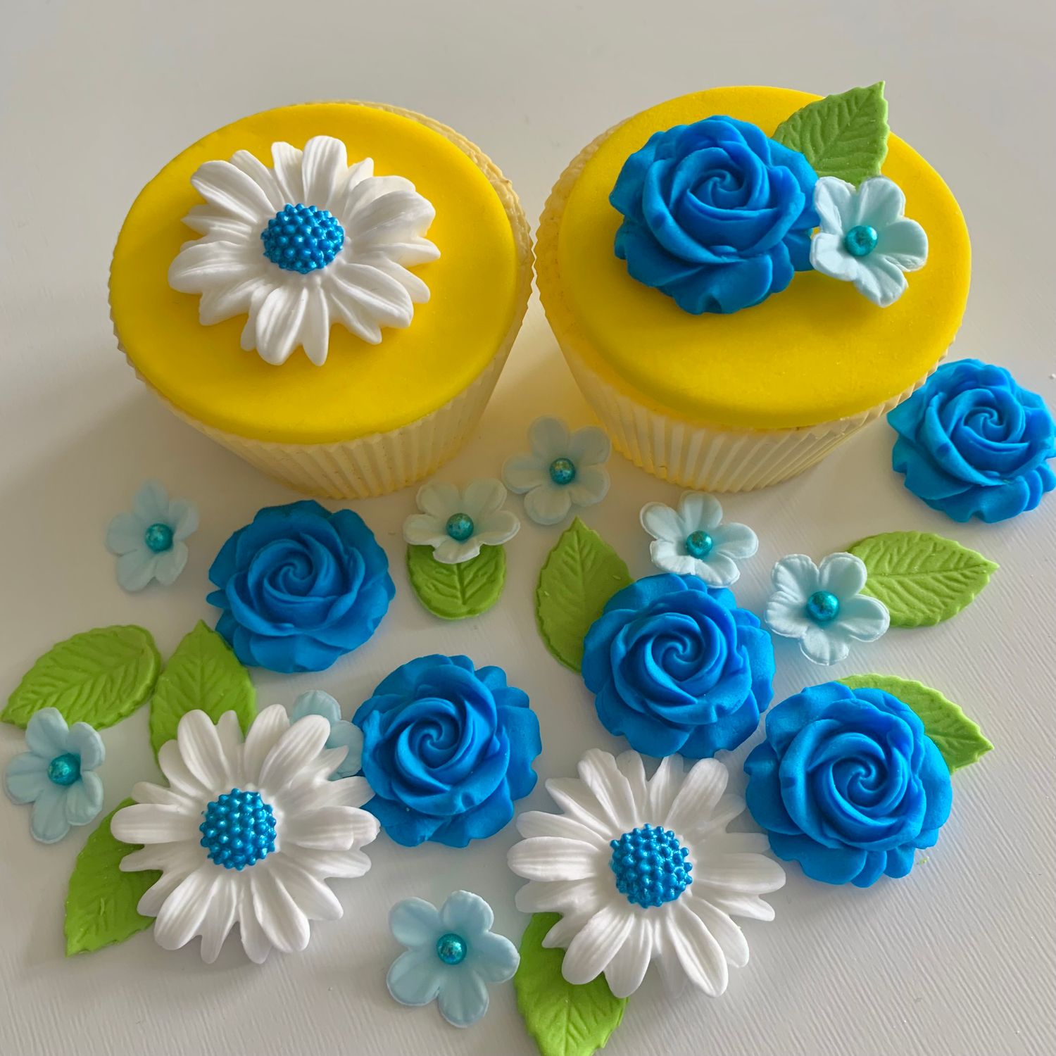 Blue Roses White Daisies