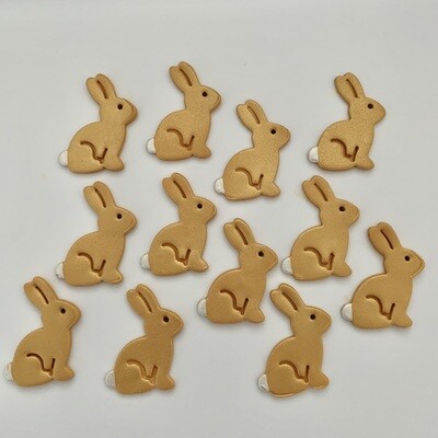 Golden Bunny Rabbits