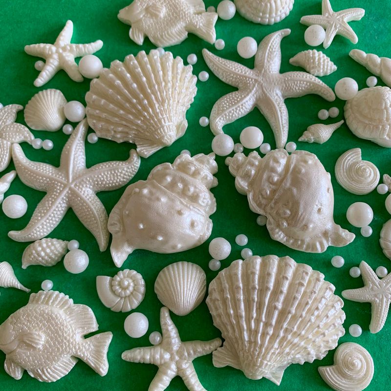 Seashells