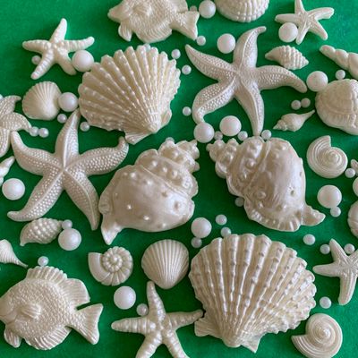 Seashells