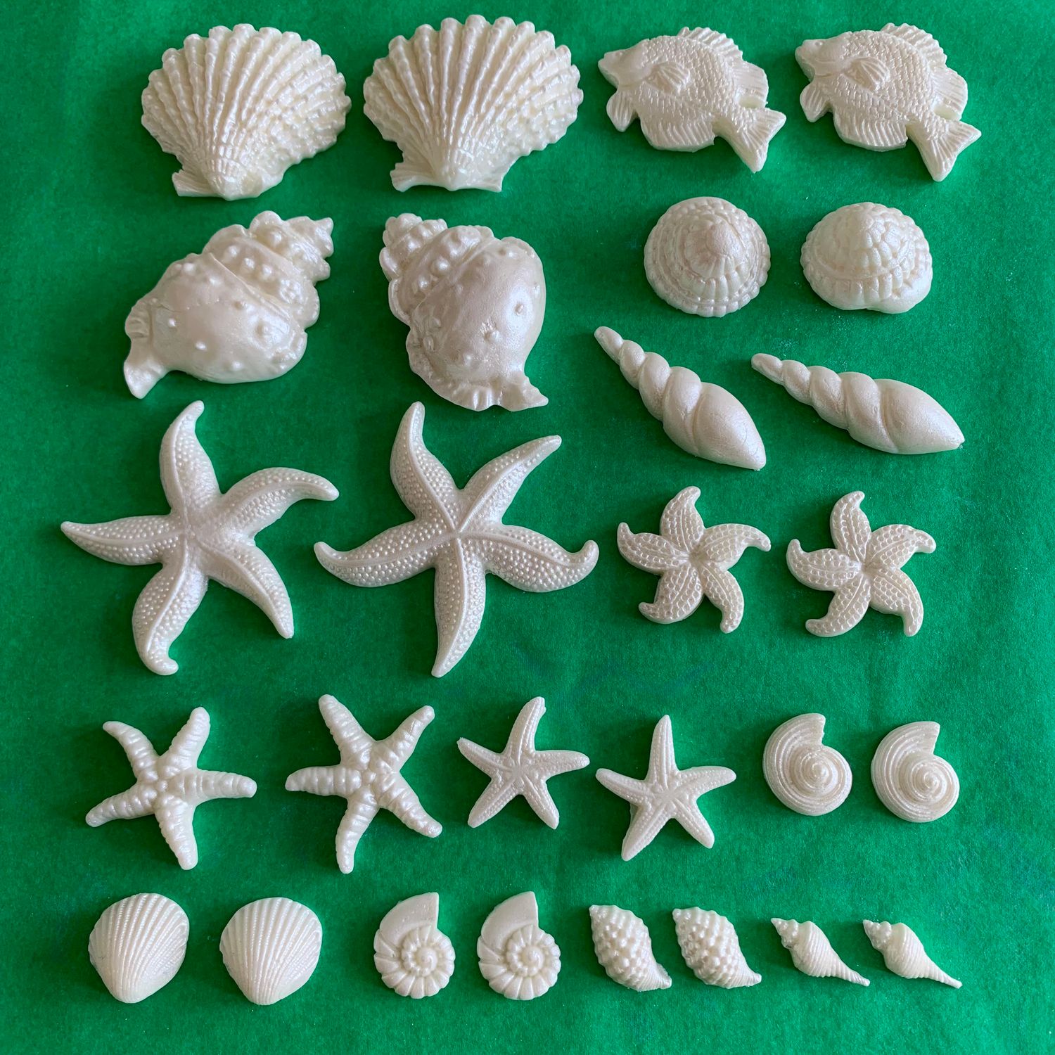 Seashells