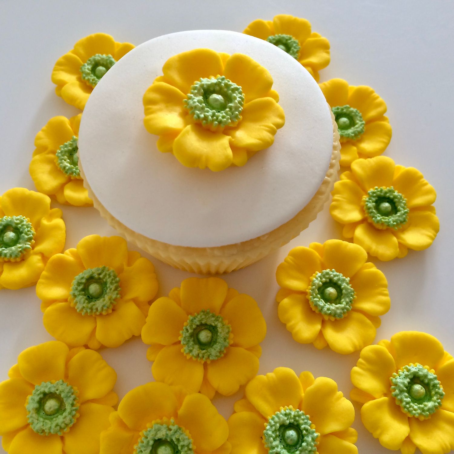 Yellow Poppies