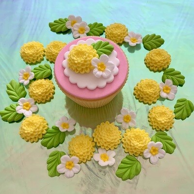 Lemon Chrysanthemums