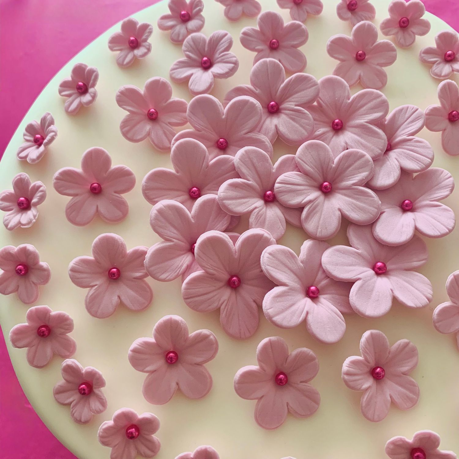 White Sugar Flowers