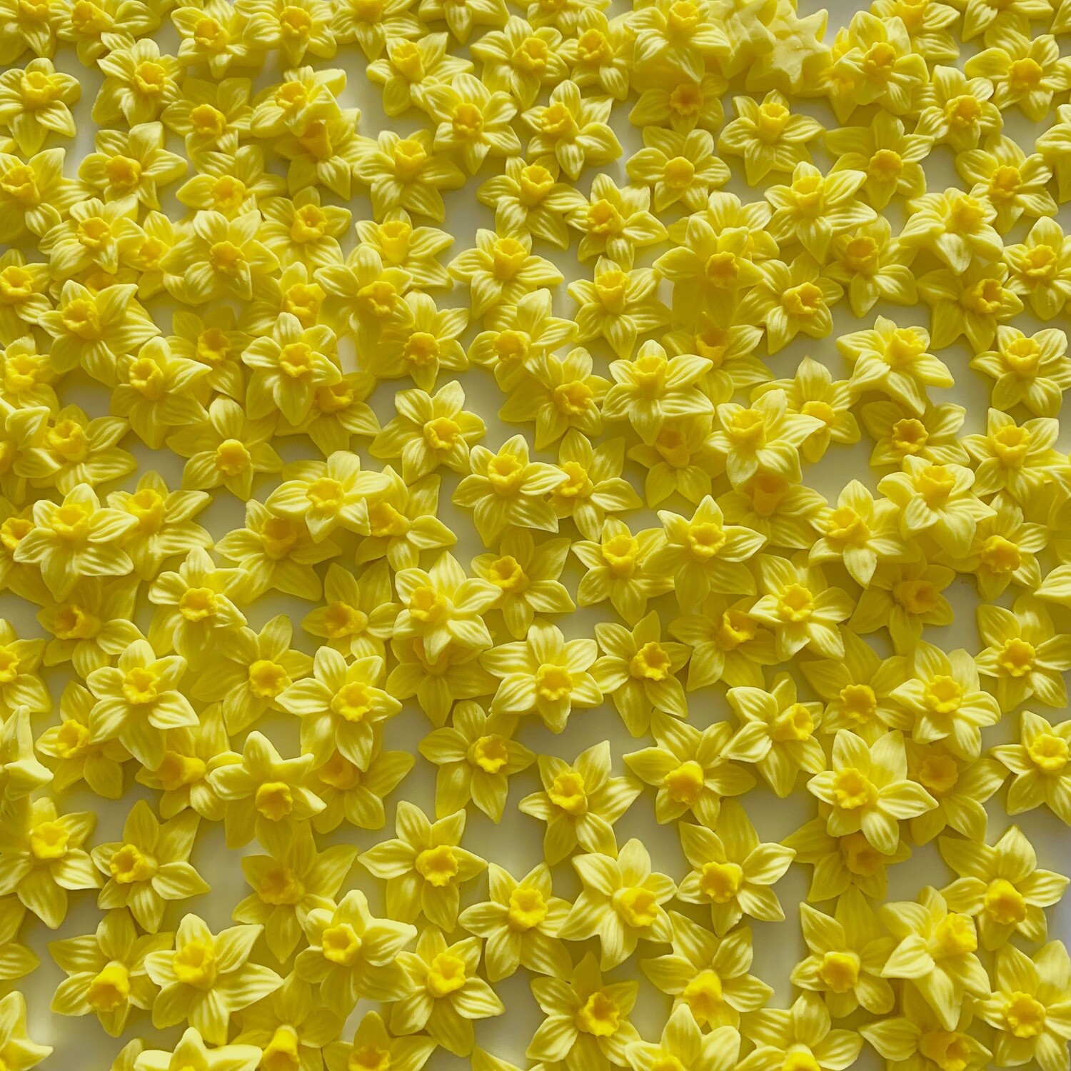 Daffodils