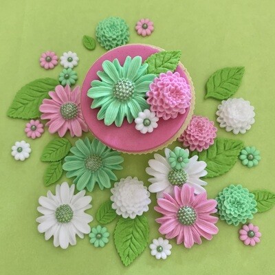Pink Mint Daisies