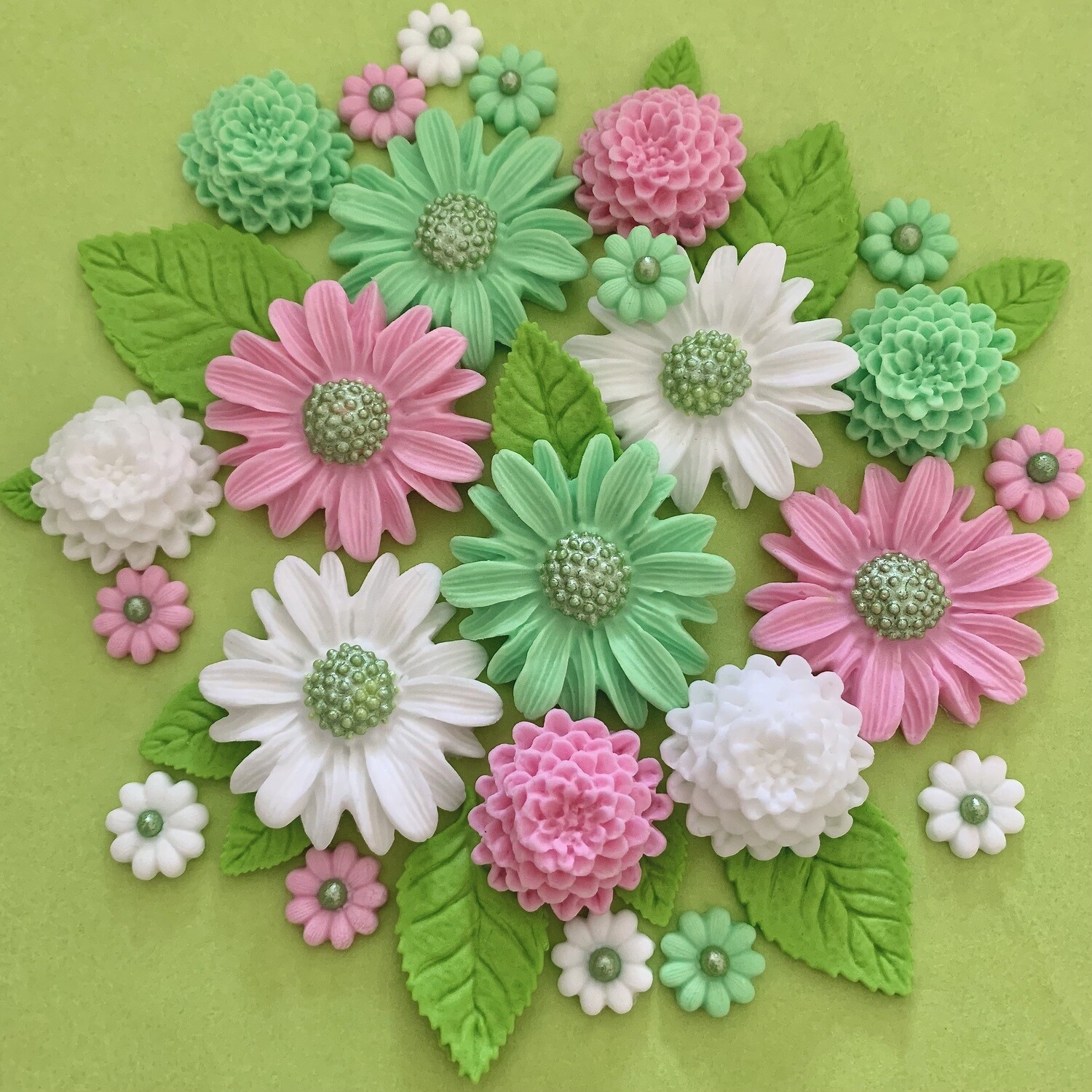Pink Mint Daisies