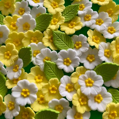Spring Primroses