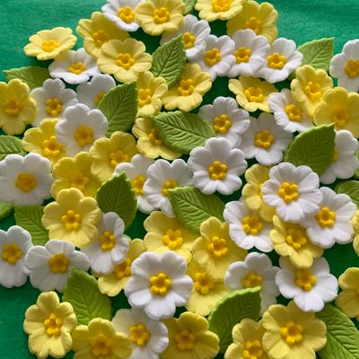 Spring Primroses