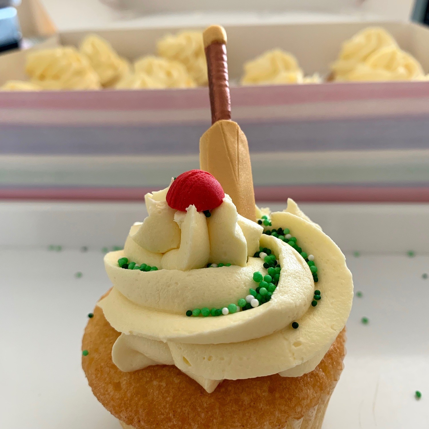 Cricket Bats &amp; Balls