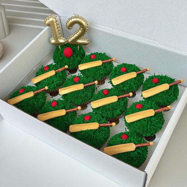 Cricket Bats &amp; Balls