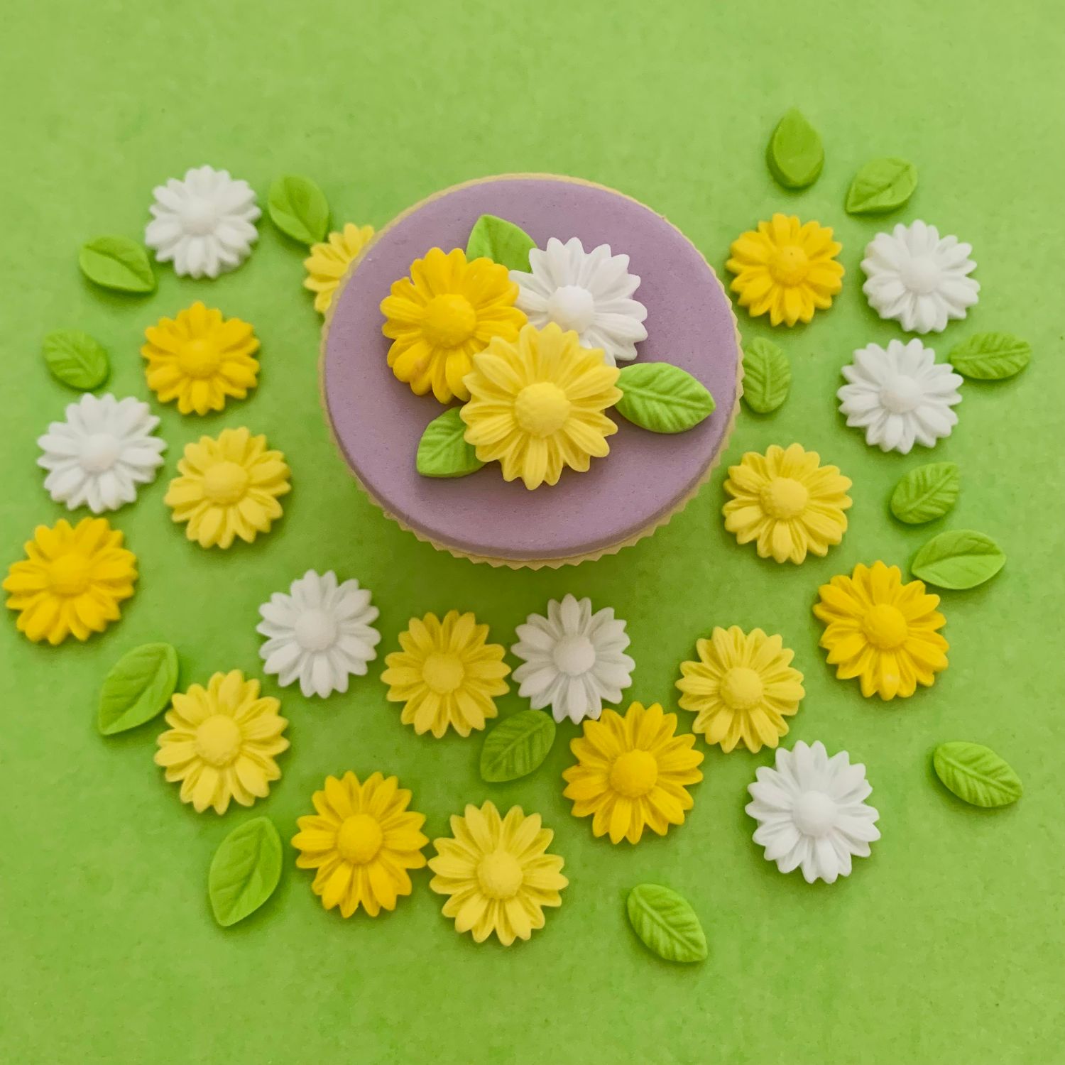 Yellow Ditsy Daisies