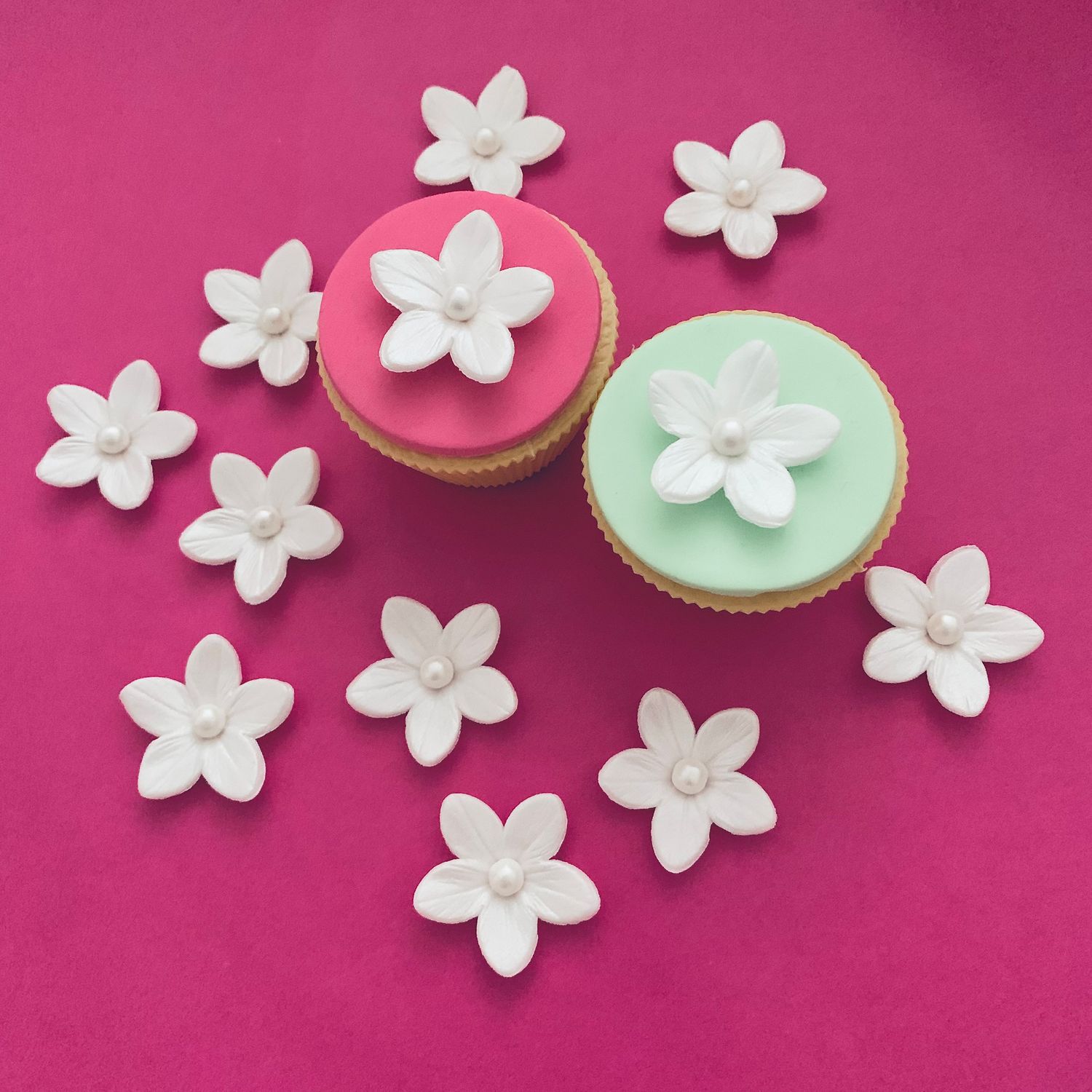 Pearly White Flowers