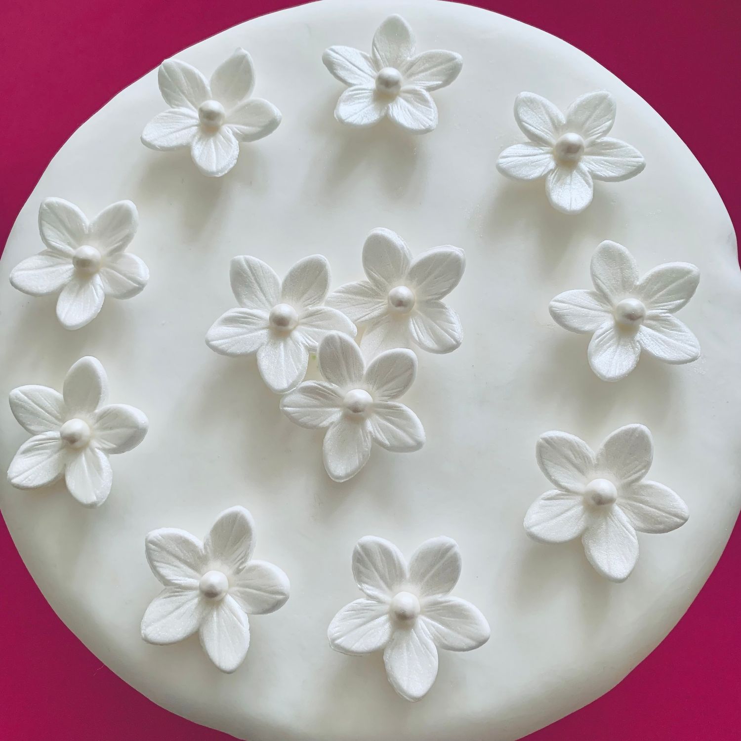 Pearly White Flowers