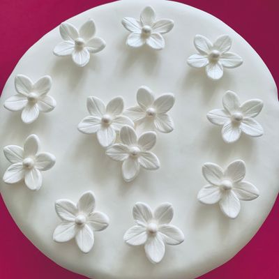 Pearly White Flowers