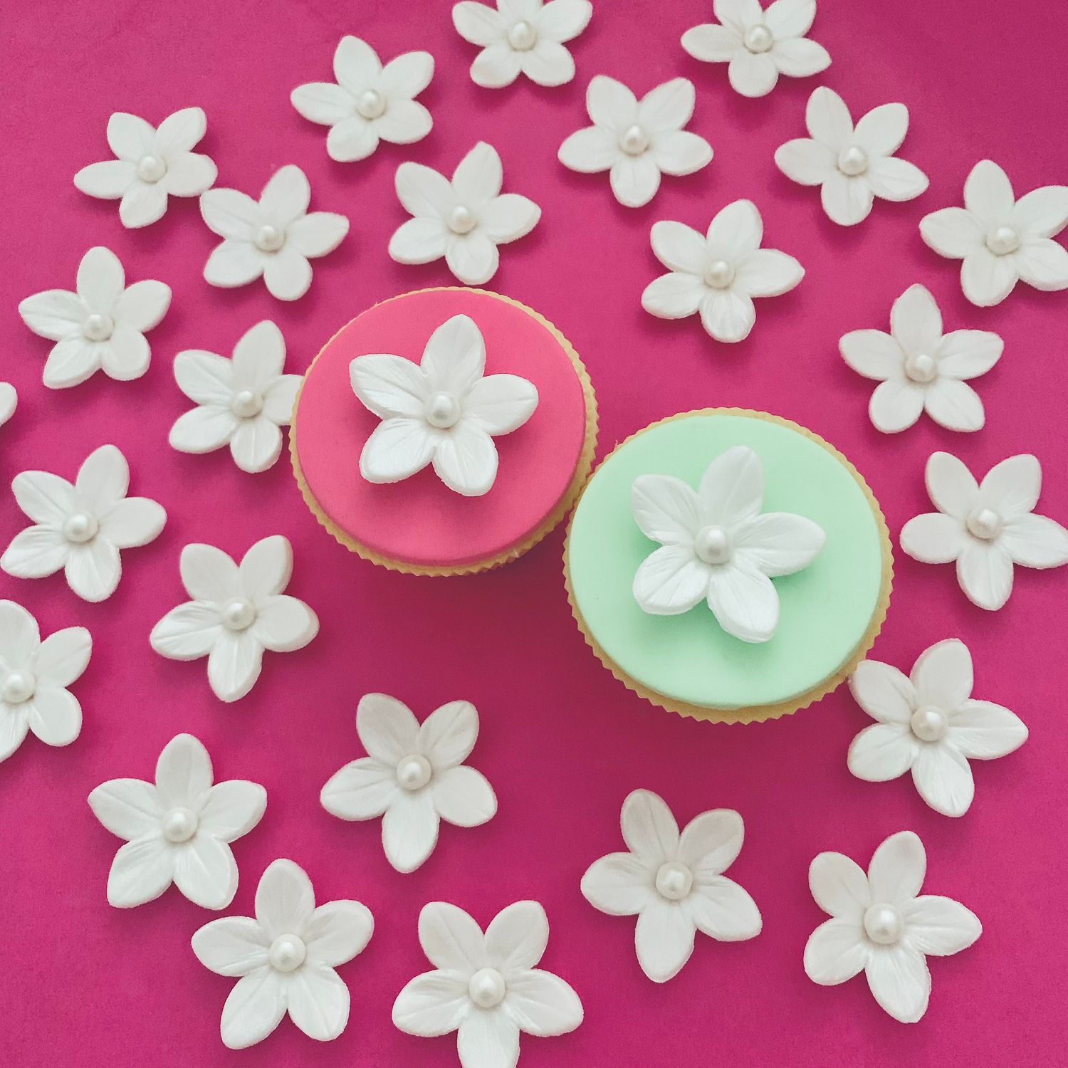 Pearly White Flowers